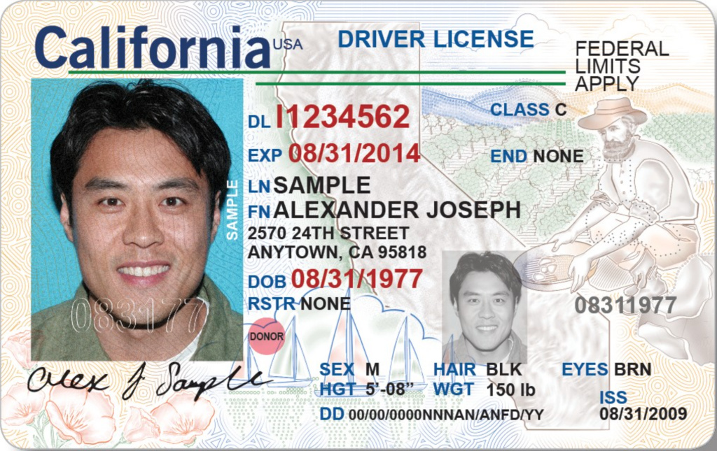 regular driver license